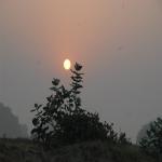 Vraj-Yatra-2014- (93)